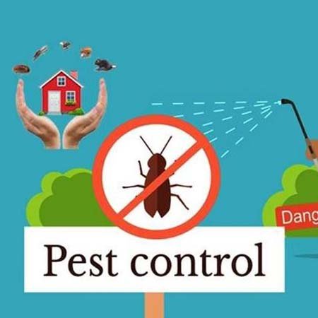Expert Pest Control