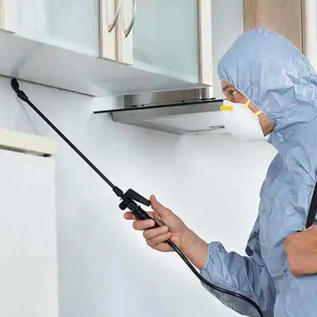 Get Pest Control Near Me