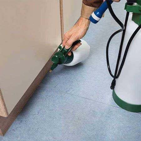 Effective Pest Control For Residential & Commercial