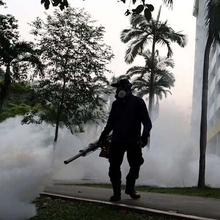 Pest Control For Residential & Commercial