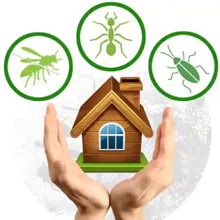 Residential Pest Control