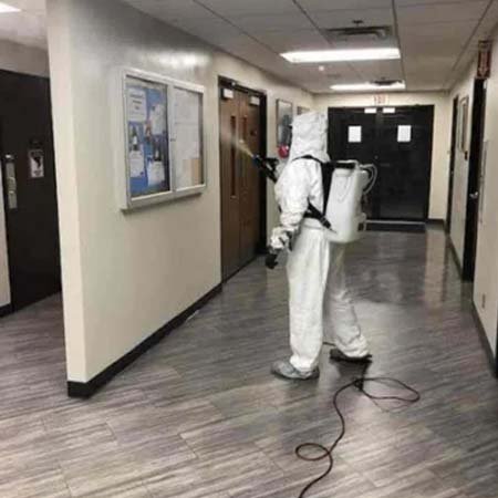 Corporate Pest Control