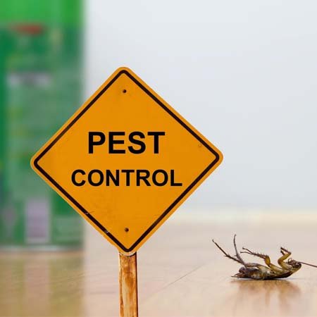 Pest control