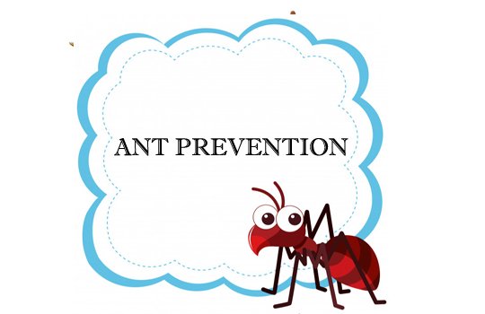 Pest Control  Service Providers