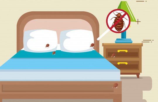 Industrial Pest Control Service Providers