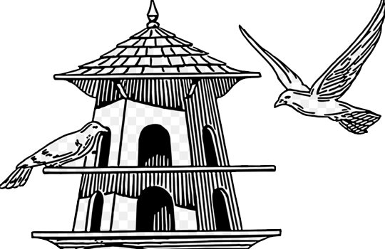 Pest Control Service Provider Companies