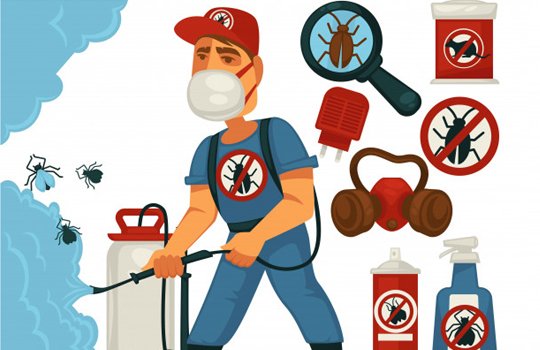 Pest Control For Residential & Commercial