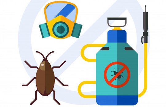 Termite Control Service Providers