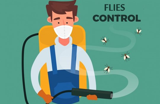 Best Pest Control In Mumbai At Reasonable Rates