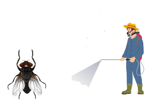 Pest Control  Service Providers