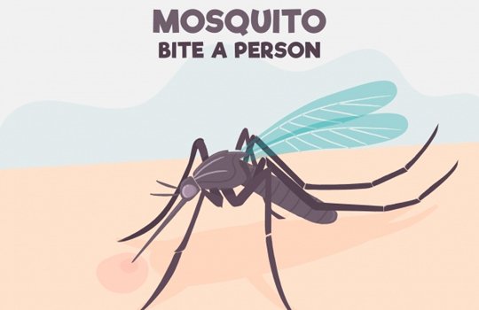 Sanitization Service Providers