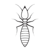 Cockroach Control Service Providers Cockroach Control Service Providers