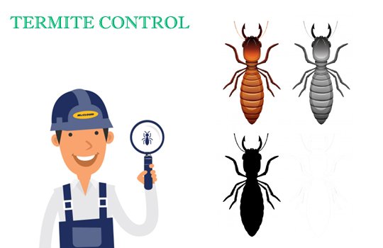 Commercial Pest Control Service Providers