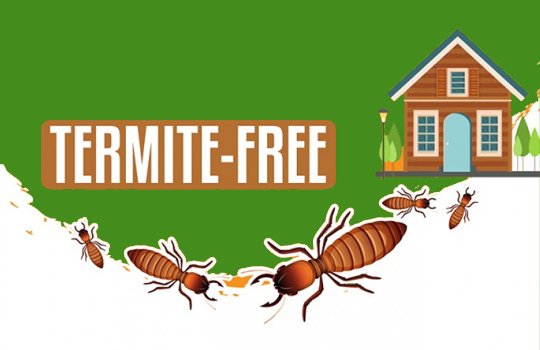 Commercial Pest Control