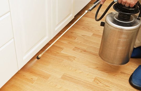 Flies Control Service Providers